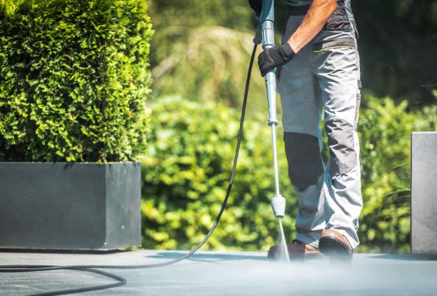 Best Patio and Deck Pressure Washing  in Glenmont, MD